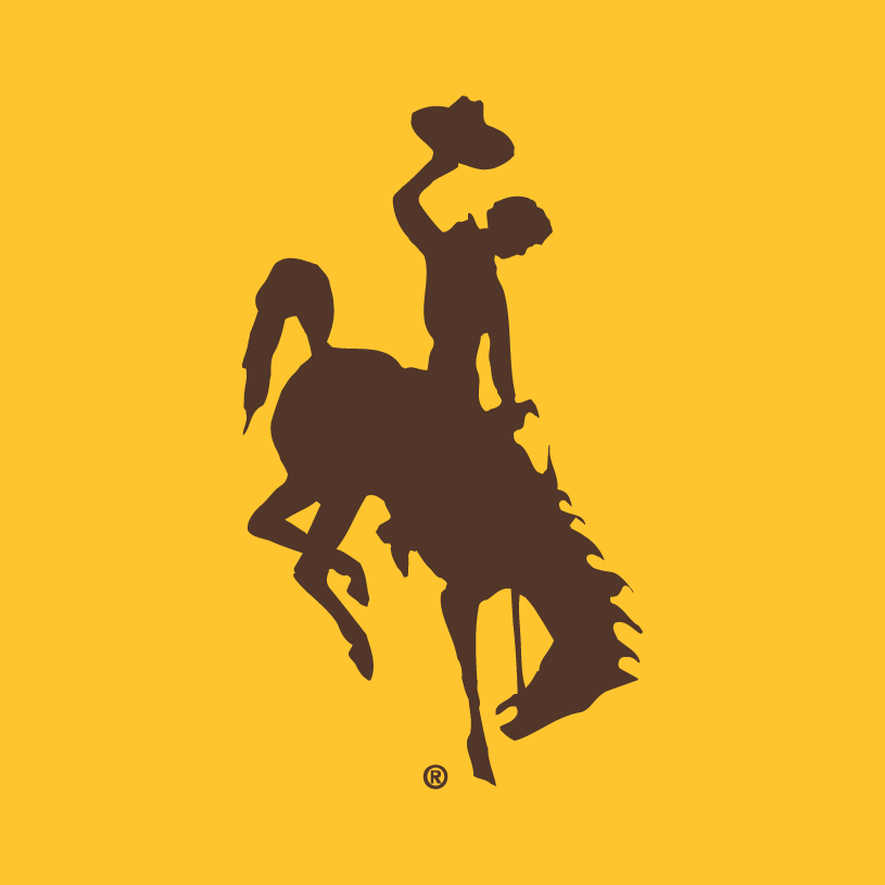 Wyoming Cowboys 2006-Pres Alternate Logo iron on transfers for fabric
